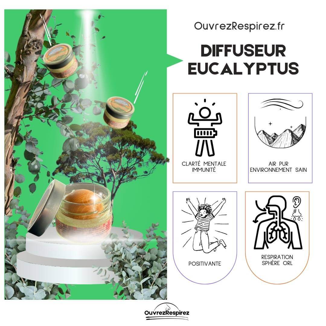 EUCALYPTUS