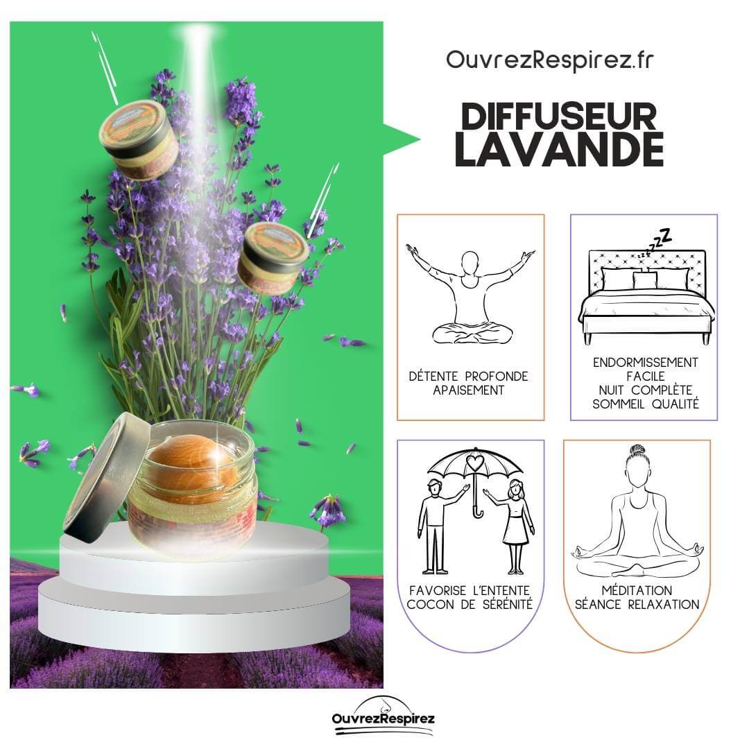 LAVANDE