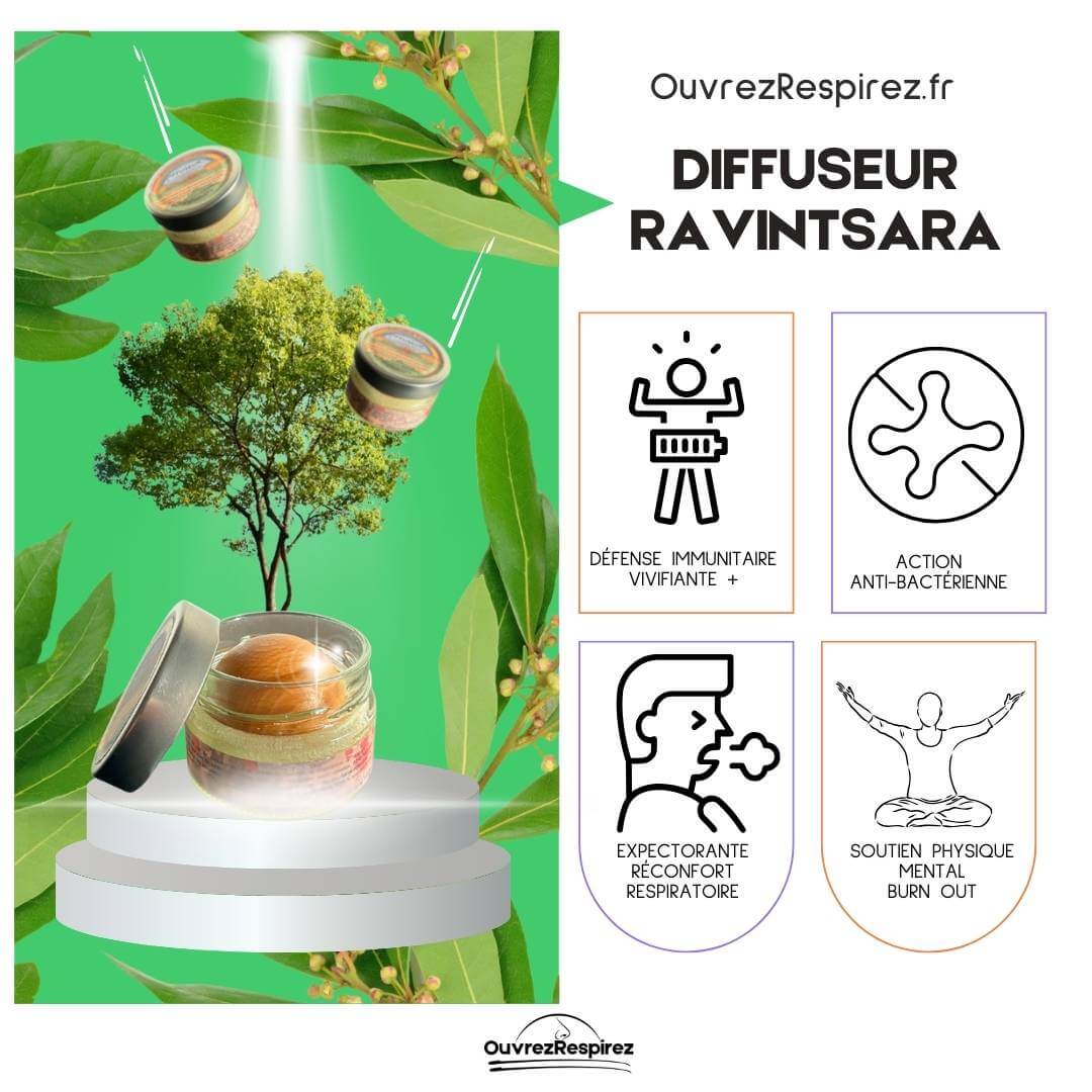RAVINTSARA
