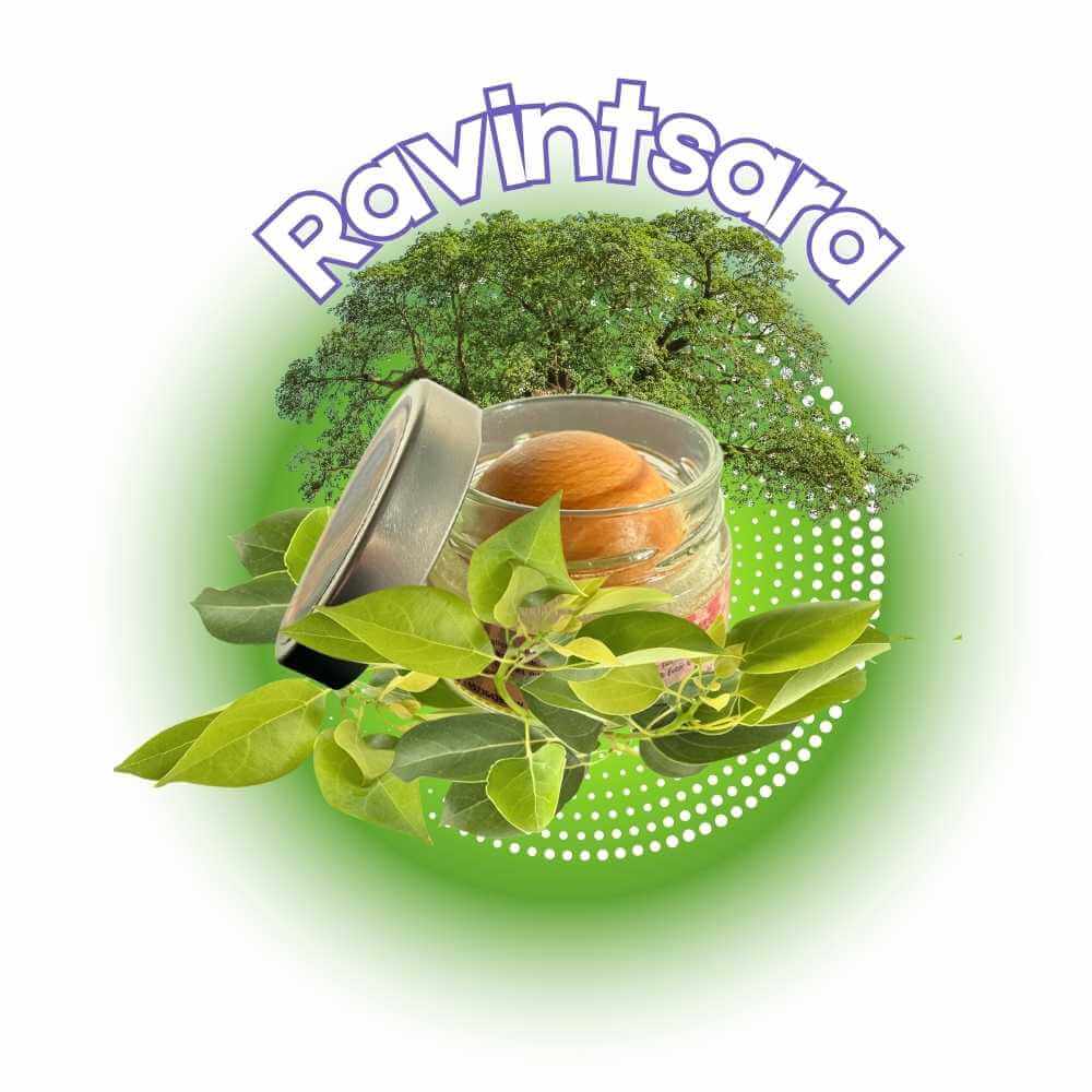 RAVINTSARA