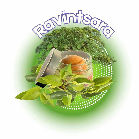 RAVINTSARA