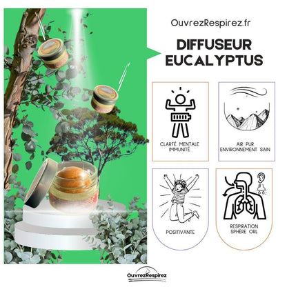 EUCALYPTUS