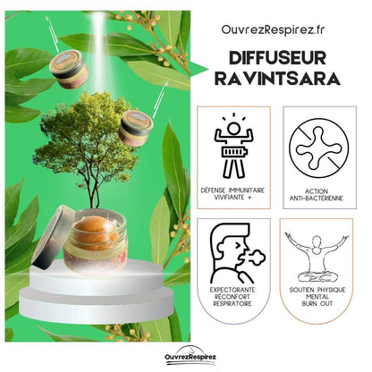 RAVINTSARA